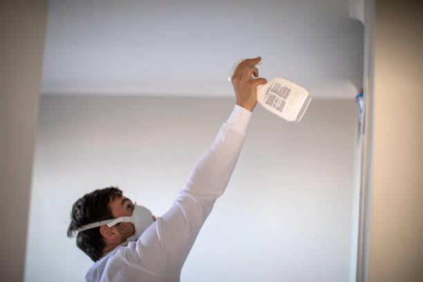 Best Mold Testing and Removal  in Clymer, PA