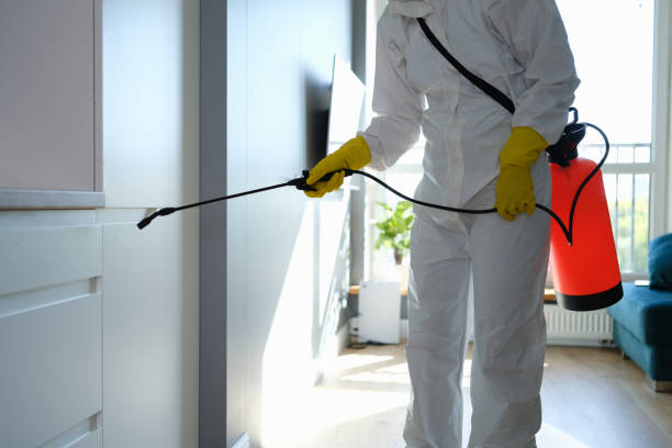 Best Toxic Mold Removal  in Clymer, PA