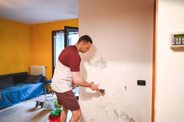 Best Office Mold Removal Services  in Clymer, PA